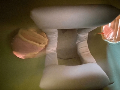 Mr Blobby's Head (Inside)